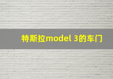 特斯拉model 3的车门